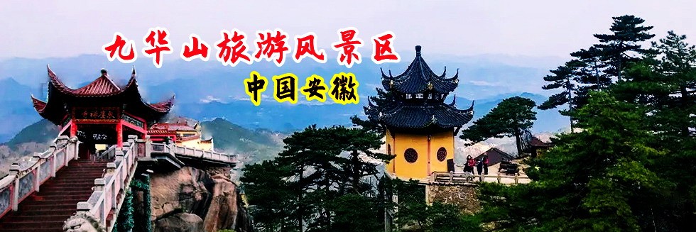 播放器日批免费视频